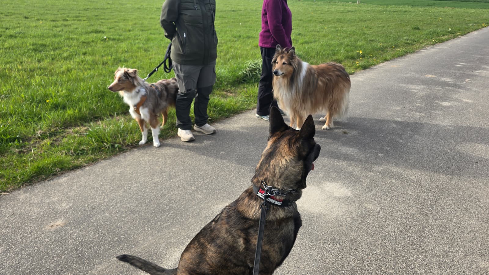 Social Walk