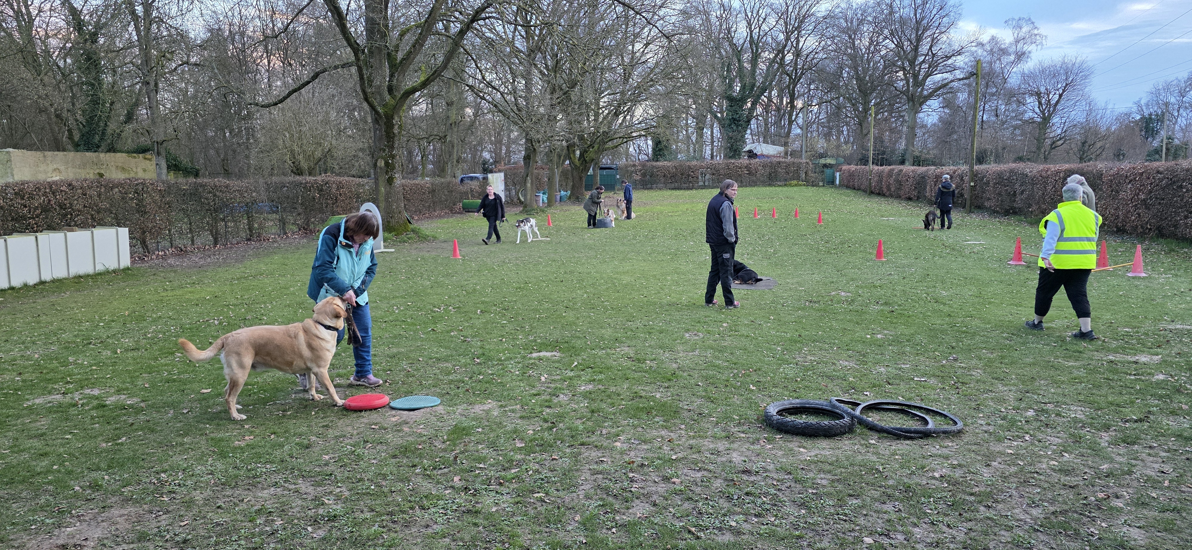 Training